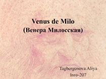 Venus de Milo ( Венера Милосская)