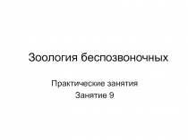 Зоология беспозвоночных
Практические занятия
Занятие 9