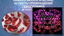 ХИМИКО-БИОЛОГИЧЕСКИЕ АСПЕКТЫ ПРЕВРАЩЕНИЯ ГЕМОГЛОБИНА IN VIVO и IN VITRO