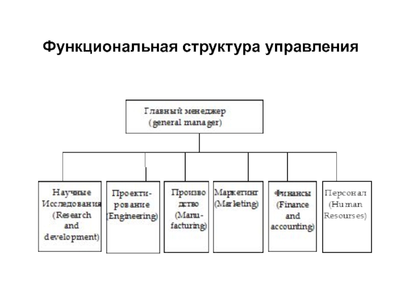 Функциональная структура управления проектом