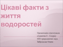 Цікаві факти з життя водоростей
