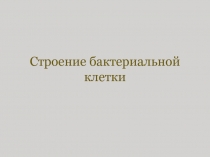 Строение бактериальной клетки