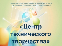 Муниципальное автономное образовательное учреждение дополнительного образования