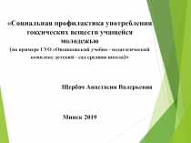 Социальная профилактика употребления токсических веществ учащейся молодежью
(