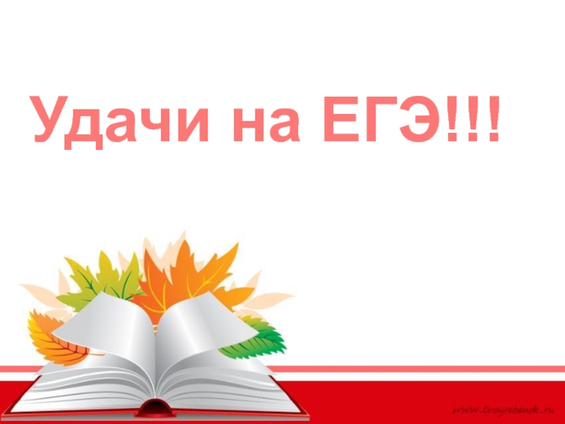 Удачи на экзамене по русскому языку картинки