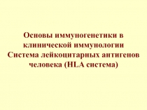 Основы иммуногенетики в клинической иммунологии Система лейкоцитарных антигенов