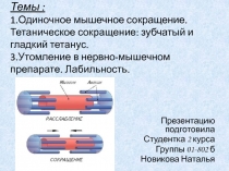 Темы : 1.Одиночное мышечное сокращение. Тетаническое сокращение: зубчатый и