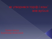 як утворився торф і кам’яне вугілля