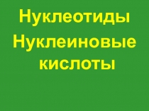 Нуклеотиды
Нуклеиновые кислоты