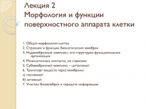 Лекция 2 Морфология и функции поверхностного аппарата клетки