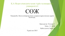 Қ.А Ясауи атындағы қазақ түрік халықаралық университеті