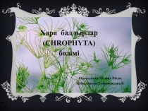 Орындаған:Мәжит Мәди
Қабылдаған:Тойжигитова. Б
Хара балдырлар (CHROPHYTA)