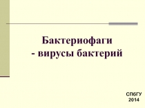 Бактериофаги - вирусы бактерий