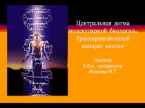 Центральная догма молекулярной биологии. Транскрипционный аппарат клетки Лектор