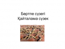 Бөртпе сүзегі Қайталама сүзек