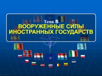 Тема 5
ВООРУЖЕННЫЕ СИЛЫ ИНОСТРАННЫХ ГОСУДАРСТВ