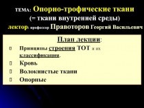 ТЕМА : Опорно-трофические ткани (= ткани внутренней среды ) лектор : профессор