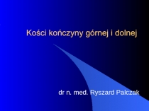 Kości kończyny górnej i dolnej