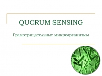 QUORUM SENSING