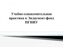 Учебно-ознакомительная практика в Эндаумент-фонд ПГНИУ