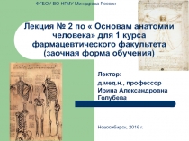 Лекция № 2 по  Основам анатомии человека для 1 курса фармацевтического