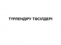 ТҮРЛЕНДІРУ ТӘСІЛДЕРІ