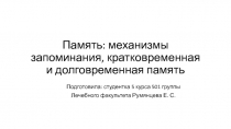 Память: механизмы запоминания, кратковременная и долговременная память