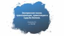 Экспрессия генов: транскрипция, трансляция и судьба белков