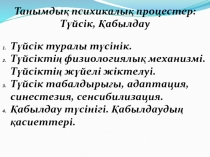 Танымдық психикалық процестер: Түйсік, Қабылдау