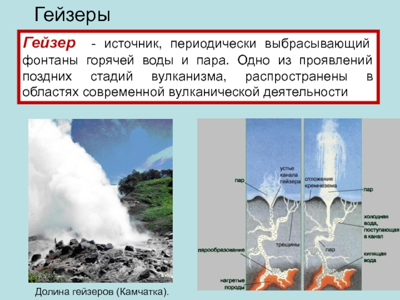 Вода камчатского гейзера великан содержит следующие ионы