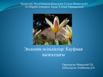 Эндемик өсімдіктер: Кауфман қызғалдағы
Орындаған: Мырзатай Т.Қ.
Қабылдаған: