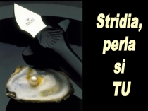 Stridia,
perla
si
TU