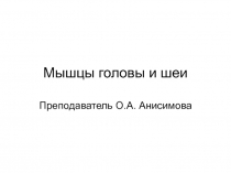 Мышцы головы и шеи