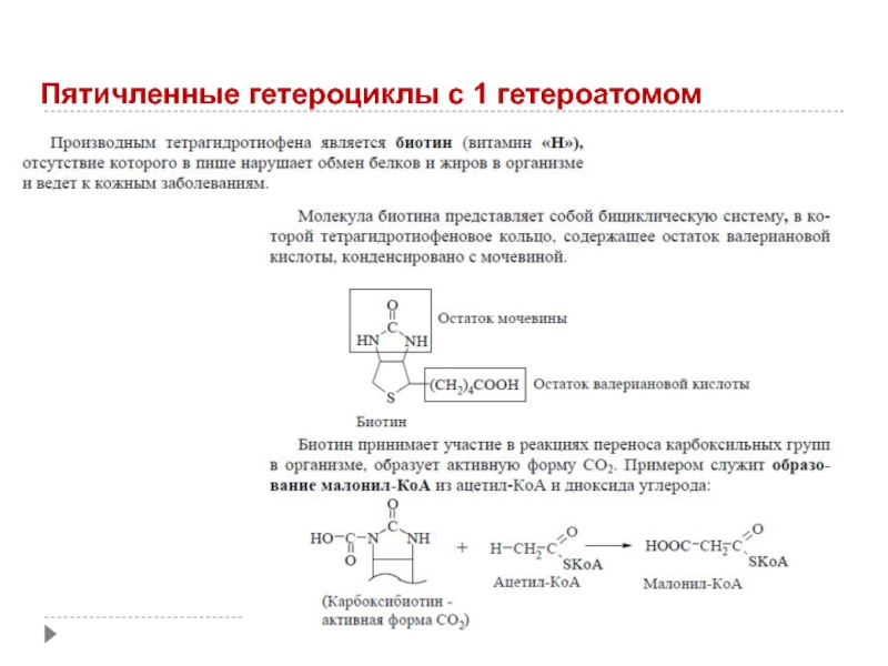 Пятичленные гетероциклы с одним гетероатомом. Пятичленные гетероциклы. Активная форма биотина. Важнейшие гетероциклы и их производные таблица.