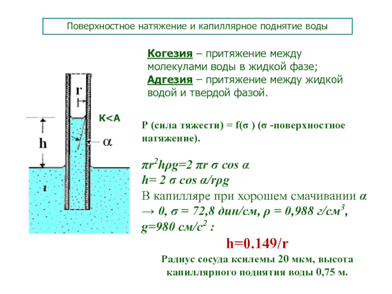 Сила поверхностного натяжения жидкости. Высота капиллярного поднятия воды в грунтах формула. Как рассчитать поверхностное натяжение жидкости. Высота капиллярного подъема жидкости в капиллярах.