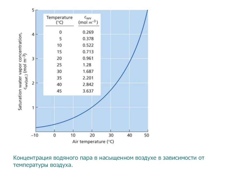 Пользуясь рисунком определите является ли воздух насыщенным