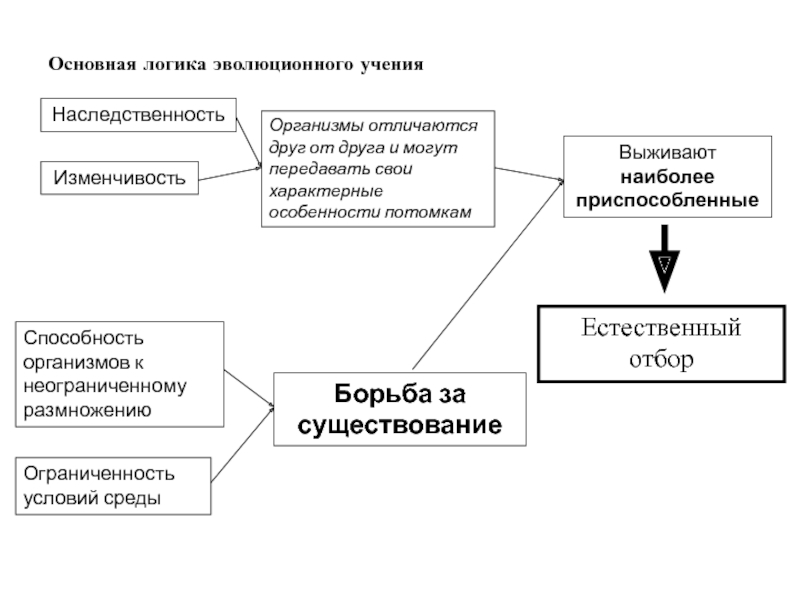 Движущая сила эволюции стремление к прогрессу. Основная логика эволюционного учения. Основная логика эволюционного учения схема. Способность организмов к размножению какое значение. Значение способности к размножению для существования жизни на земле.