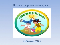 Летняя дворовая площадка
с. Дворец 2018 г