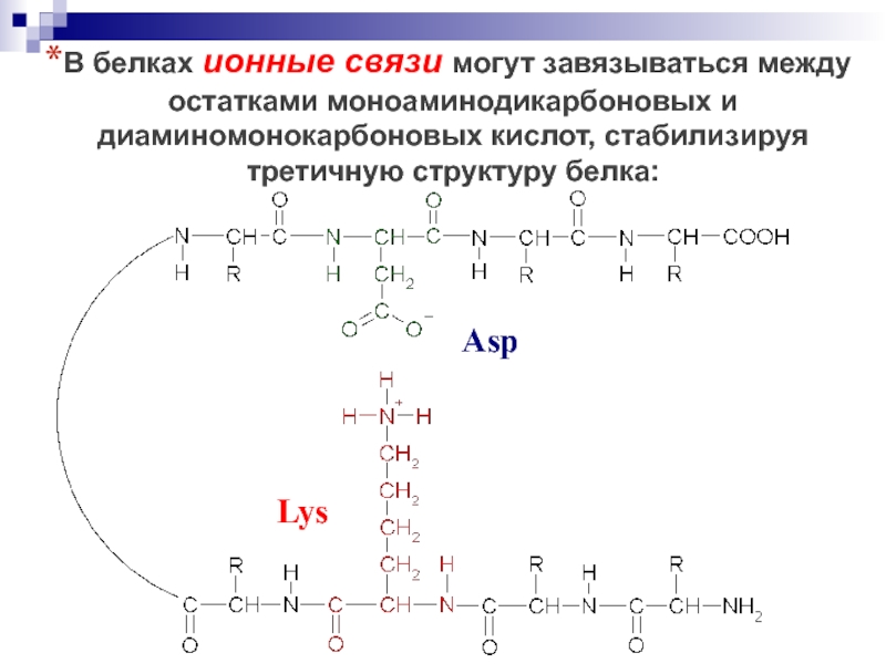 Ионные связи белка. Ионные связи в белках. Моноаминодикарбоновой кислоты. Ионные связи в третичной структуре белка. Диаминомонокарбоновая кислота.