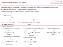 Аминокислоты. Состав и строение
Аминокислотами называются органические