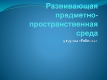 Развивающая предметно-пространственная среда