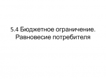 5.4 Бюджетное ограничение. Равновесие потребителя