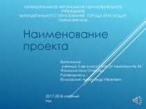 Муниципальное автономное образовательное учреждение Муниципального образования