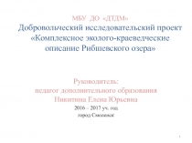 МБУ ДО ДТДМ Добровольческий исследовательский проект Комплексное