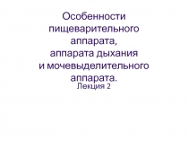 Особенности пищеварительного аппарата, аппарата дыхания и мочевыделительного