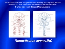 Проводящие пути ЦНС
Заведующий кафедрой, академик Военно-медицинской академии,