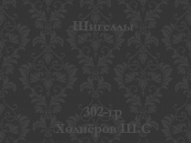 Шигеллы
302-гр
Холиёров Ш.С