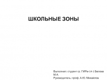 ШКОЛЬНЫЕ ЗОНЫ
Выполнил: студент гр. ГИРм-14-1 Белова М.А.
Руководитель: проф