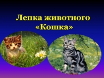 Лепка животного
Кошка