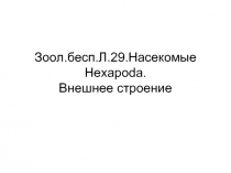 Зоол.бесп.Л.29.Насекомые Hexapoda. Внешнее строение